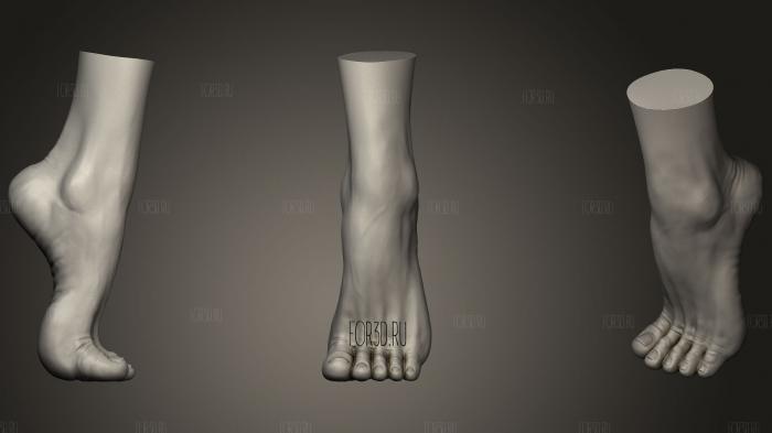Female Foot 3d stl модель для ЧПУ